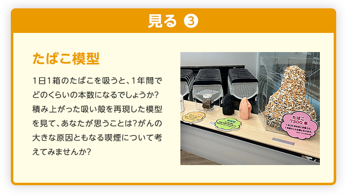 たばこ模型 1日１箱のたばこを吸うと、1年間でどのくらいの本数になるでしょうか？
                                    積み上がった吸い殻を再現した模型を見て、あなたが思うことは?がんの大きな原因ともなる喫煙について考えてみませんか?