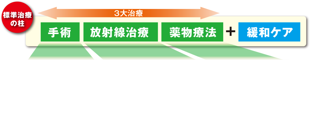 標準治療の柱 3大治療 [手術] [放射線治療] [薬物治療] + [緩和ケア]
