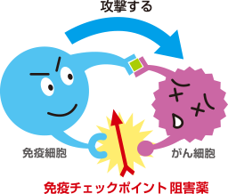 免疫チェックポイント阻害薬